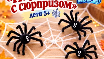 Мастер-класс &laquo;Паучок с сюрпризом&raquo; 0