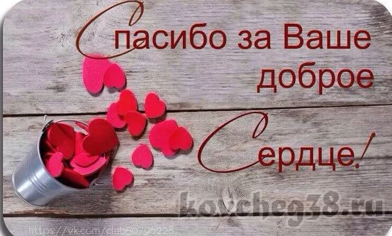Общество многодетных семей Ковчег благодарит за помощь и поддержку Общество многодетных семей Ковчег благодарит за помощь и поддержку