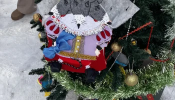В Иркутске прошел волшебный фестиваль для многодетных семей &laquo;Расскажи нам, ёлка, сказку!&raquo; 2