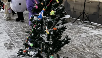В Иркутске прошел волшебный фестиваль для многодетных семей &laquo;Расскажи нам, ёлка, сказку!&raquo; 1